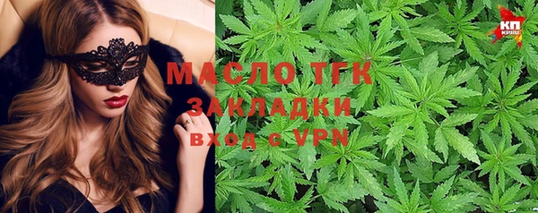 шишки Богородск