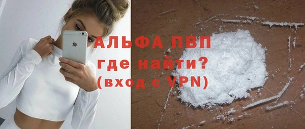 spice Богородицк