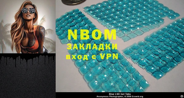 spice Богородицк