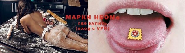 spice Богородицк