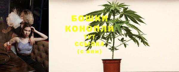 мдпв Богданович
