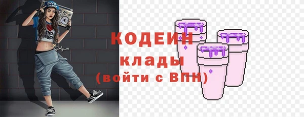 мдпв Богданович