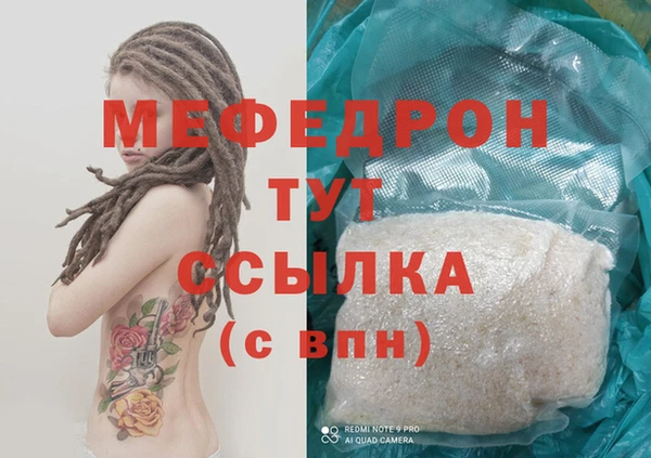 spice Богородицк
