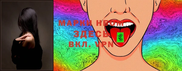 шишки Богородск