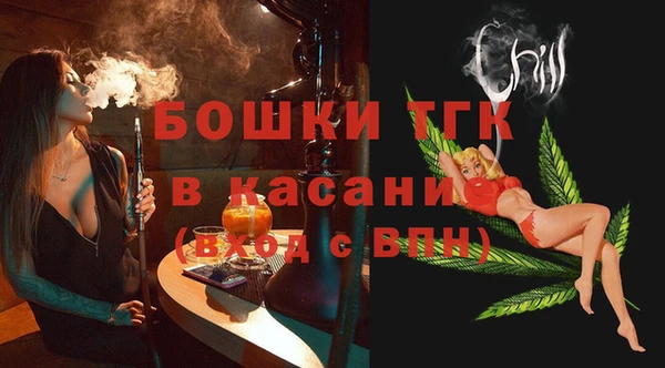 spice Богородицк