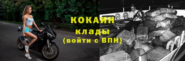 spice Богородицк