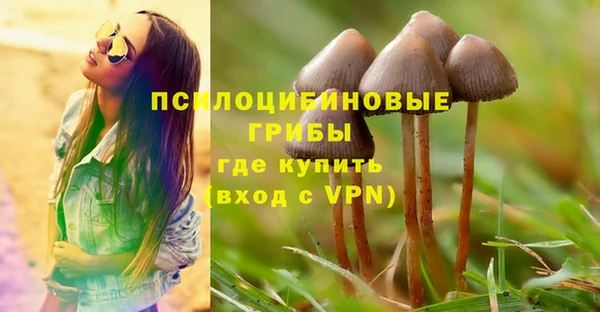мдпв Богданович