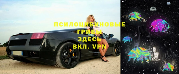 шишки Богородск