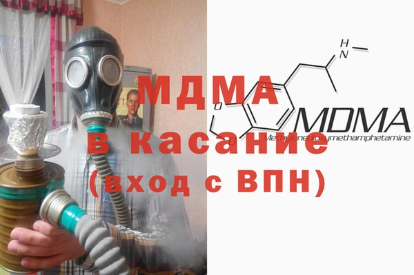 spice Богородицк
