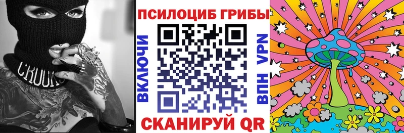 Псилоцибиновые грибы мицелий  купить наркотики сайты  мега как войти  Велиж 