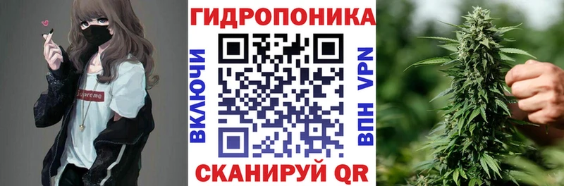 Канабис план  купить наркотики цена  Велиж 